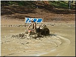 mud nationals 096.jpg
